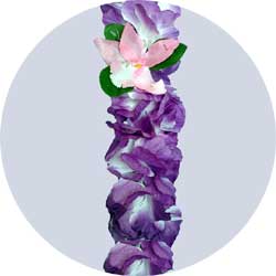 purple orchid wrystlet