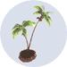 palm tree decoration