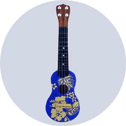 hibiscus ukulele