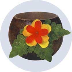 wax coconut candle
